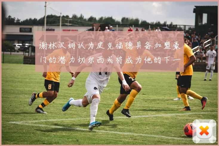 谢林汉姆认为皮克福德具备加盟豪门的潜力切尔西或将成为他的下一个选择